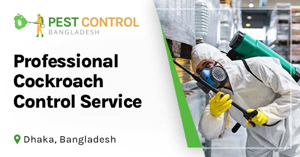 Professional cockroach control service in Dhaka, Bangladesh