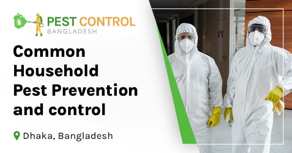 Common household pest prevention and control in Bangladesh