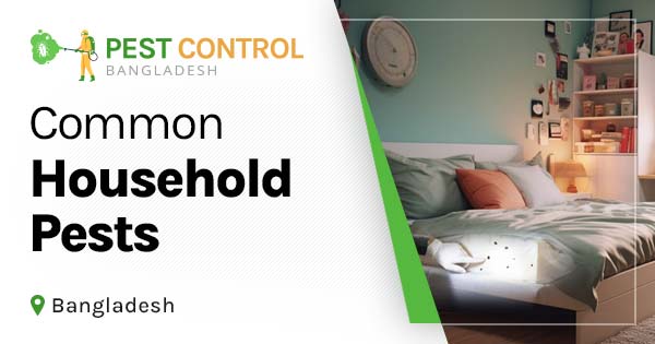 Common household pests in Bangladesh