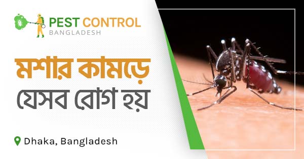 মশার কামড়ে যেসব রোগ হয়