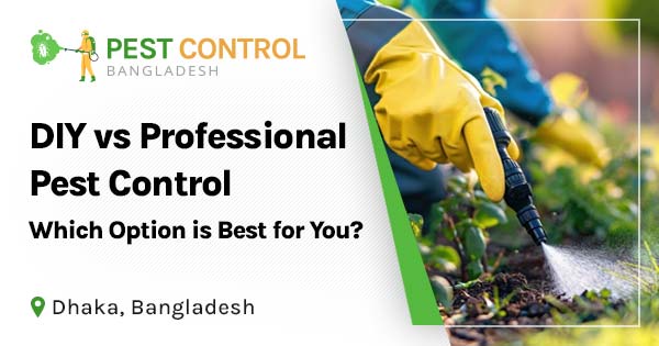DIY vs Professional Pest Control: Which option is best for you?