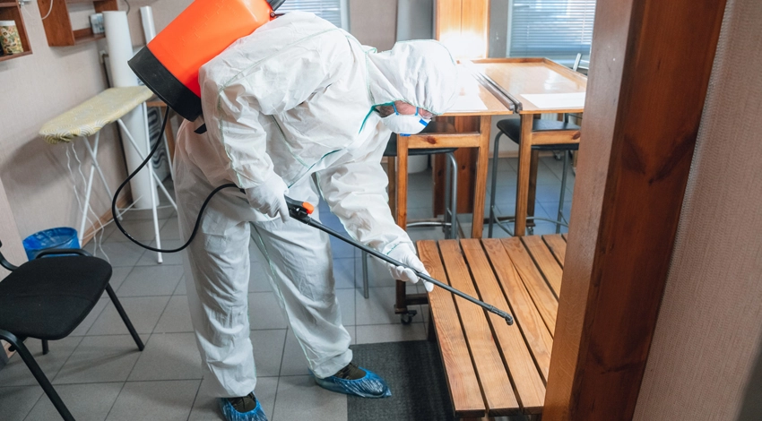 Expert bed bug removal service in Dhaka