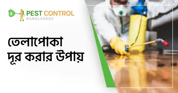 তেলাপোকা দূর করার উপায় | ঘরোয়া সমাধান ও প্রতিরোধ