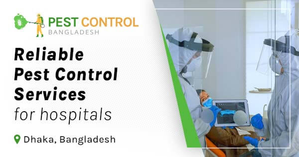 Reliable pest control services for hospitals in Bangladesh