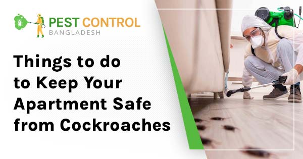 Things to do to keep your apartment safe from Cockroaches