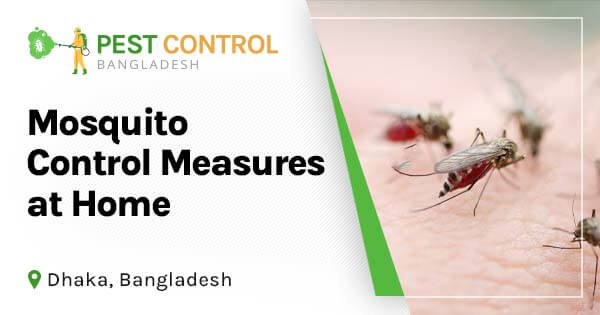 Mosquito control measures at home in Bangladesh