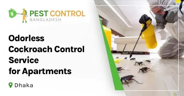 Odorless cockroach control service for apartments in Dhaka