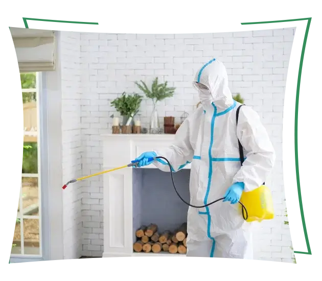 Pest control for homes and businesses