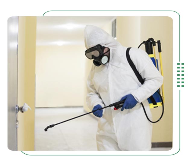 Pest control service in Gulshan
