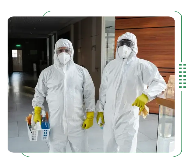 Pest control service in Bangladesh