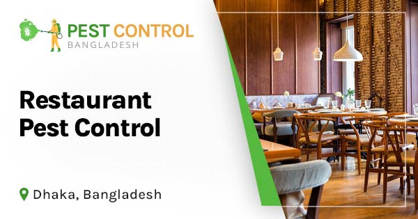 Pest control services for restaurants in Bangladesh
