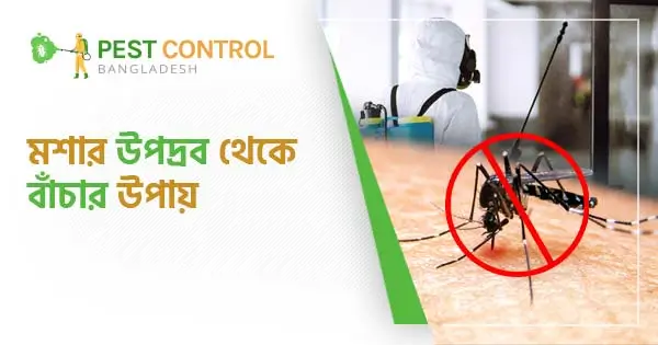 মশার উপদ্রব থেকে বাঁচার উপায়, সতর্কতা ও নিয়ন্ত্রণ